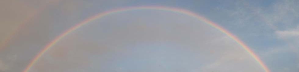 Double Rainbow Logo