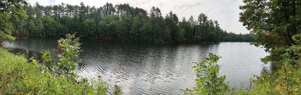 Chequamegon National Forest